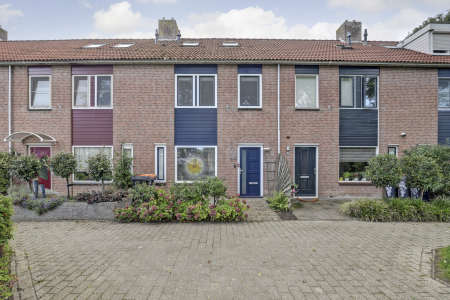 Butterwoud 32, Zwaag